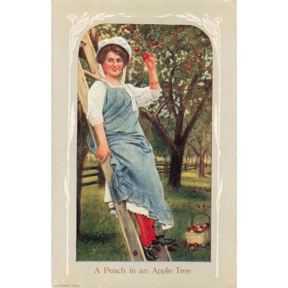 Vintage 1909 A Peach in an Apple Tree Postcard Series JO-16 Palmyra Illinois VG - Picture 1 of 2